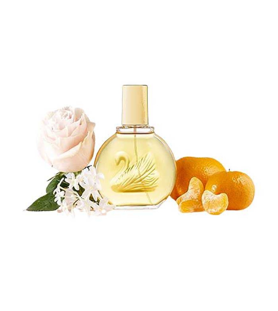 Perfumes De Lujo | Vanderbilt Vanderbilt - Eau De Toilette Vanderbilt